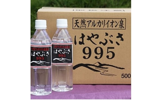 ＜毎月定期便＞りょう泉はやぶさ　995〈500ml×24本〉全3回【4058671】 1524254 - 山梨県山梨市