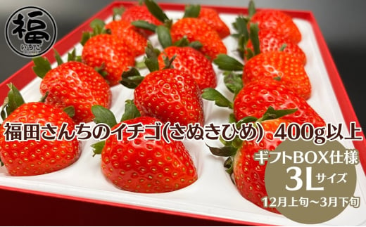 【年内出荷開始】福田さんちのイチゴ(さぬきひめ) 3L サイズ 400g以上 ギフトボックス１箱【配送不可：北海道・沖縄県・離島エリア】苺 農園直送 いちご採れたて直送