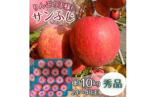 サンふじ 秀品 10kg(24～40玉)【1560896】 1523857 - 長野県中野市