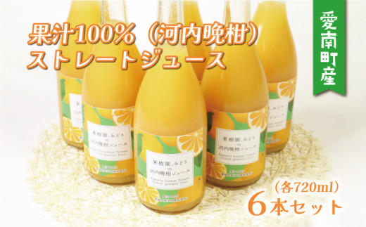 みかん 果汁 100% ストレート ジュース 720ml × 6本 セット 13000円 河内晩柑 かわちばんかん 愛南ゴールド あいなん 御荘柑 数量限定 期間限定 高級 贈答 ギフト プレゼント お歳暮 母の日 敬老の日 こどもの日 おやつ 国産 フルーツ 果物 柑橘 産地直送 農家直送 特産品 完熟 濃厚 人気 限定 甘い ジューシー 新鮮 果実 さわやか 果樹園みどり 愛南町 愛媛県