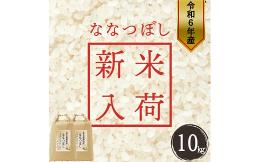 【令和6年度新米】北海道せたな町産「ななつぼし」10kg 1523325 - 北海道せたな町