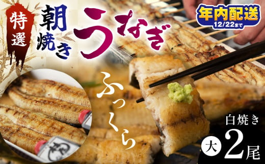 特選ふっくら朝焼きうなぎ　林屋（白焼き大２尾）| 特選ふっくら朝焼きうなぎ 林屋 白焼き 特選白焼き 白焼きうなぎ 高級林屋 ふるさと 納税 栃木県 那珂川町 送料無料 703221 - 栃木県那珂川町