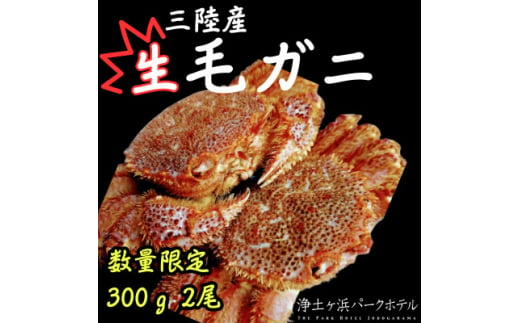 ＜先行予約(2月発送)＞岩手県より獲れたて鮮魚直送便 ＜生毛ガニ300g×2杯＞【1554532】 1523885 - 岩手県宮古市