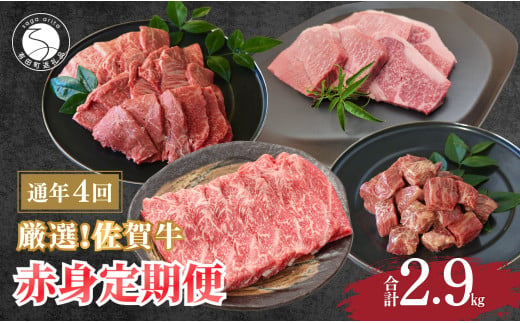 厳選!佐賀牛 赤身 定期便 全4回 モモ カタ スライス 焼き肉 ステーキ 煮込み料理 N100-17