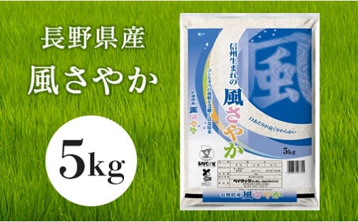 長野県産 風さやか 5kg(ベイクック)