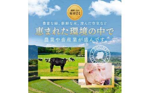 最高位賞を受賞![定期便3回]栃木県産黒毛和牛切り落とし 1000g × 3 | 和牛切り落とし 黒毛和牛切り落とし 栃木県産黒毛和牛 すき焼き 牛丼 高級 ご褒美 定期便 ふるさと 納税 送料無料 那珂川町 栃木県