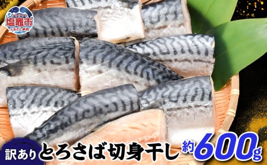 訳あり とろ さば切身 干し 約 600g (10切前後 ) 冷凍 ノルウェー産 [ 訳アリ 規格外 不揃い 傷もの 熟成 ひもの 魚 鯖 さば サバ 魚介 海産物 塩竈市 宮城県 間宮商店]|