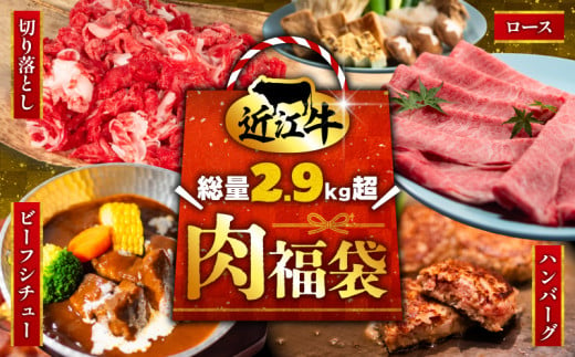 [数量限定] 近江牛 福袋 4種類 総量 2.9kg超 肉 切り落とし 550g すき焼き用 ロース 500g 近江小判ハンバーグ 15個 ビーフシチュー 250g × 3袋 豪華 一度に届く 冷凍 ギフト 肉 お取り寄せ 黒毛和牛 贈答用 ごはんのお供 三大和牛 ハンバーグ 惣菜 ブランド おかず 贈り物 自宅用 滋賀県 竜王町 岡喜 ふるさと納税 神戸牛 松阪牛 に並ぶ 日本三大和牛 お歳暮