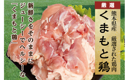 熊本県芦北町のふるさと納税 B266-08 熊本県産　若鶏ムネ肉 ３kg入