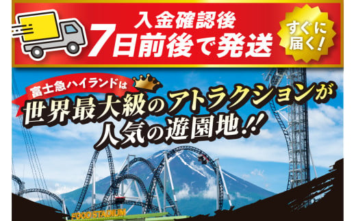 富士吉田市ふるさと納税限定 富士急ハイランドフリーパス ファミリーチケット4名（大人2名・小人2名） - 山梨県富士吉田市｜ふるさとチョイス -  ふるさと納税サイト