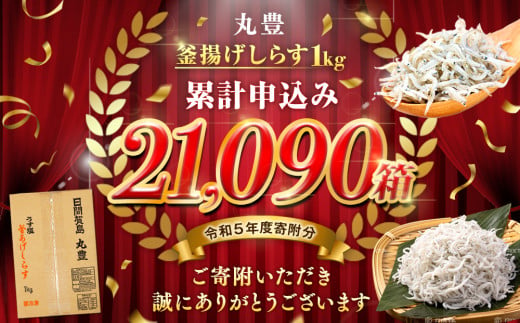 愛知県南知多町のふるさと納税 訳あり 釜揚げ しらす 1kg 減塩 日間賀島 冷凍 丸豊 愛知県 南知多町 離乳食 魚 さかな ご飯 ごはん 国産 シラス ピザ サラダ おにぎり 弁当 人気 おすすめ シラス しらす ちりめん じゃこ かちり 魚 小魚 魚貝 魚貝類 しらす シラス 天日干し しらす丼 シラス丼 しらすご飯 シラスご飯 ふるさと納税しらす ふるさと納税 しらす おすすめ 大人気 南知多産しらす 愛知県産しらす