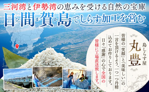 愛知県南知多町のふるさと納税 しらす 1kg 釜揚げしらす 島の工場から直送 愛知県 日間賀島産 減塩 冷凍 丸豊 魚 さかな ご飯 ごはん 国産 シラス 離乳食 人気 おすすめ 愛知県 南知多町