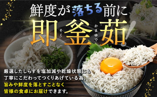 愛知県南知多町のふるさと納税 しらす 1kg 釜揚げしらす 島の工場から直送 愛知県 日間賀島産 減塩 冷凍 丸豊 魚 さかな ご飯 ごはん 国産 シラス 離乳食 人気 おすすめ 愛知県 南知多町