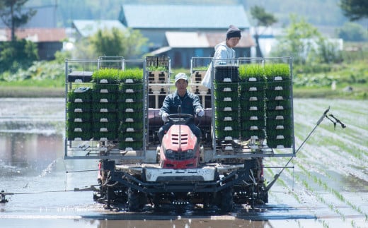 4ヶ月定期便】北海道産 特別栽培米ゆめぴりか（白米）5kg×4回 合計20kg お米 米 こめ コメ 白米 ご飯 ごはん ゆめぴりか【2024年11月下旬より発送開始】  - 北海道深川市｜ふるさとチョイス - ふるさと納税サイト