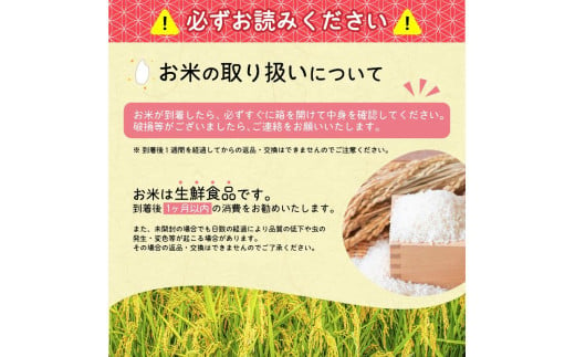 山形県寒河江市のふるさと納税 【2025年7月後半】【特別栽培米】 つや姫 5kg ／ 2024年産 令和6年産 山形県産 山形産 白米 精米 小分け 便利 弁当 ブランド米 ごはん ご飯 東北 国産 5キロ 山形県寒河江市　012-C-JA032-07後