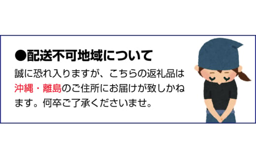 和歌山県新宮市のふるさと納税 【贈答用】こんぶ風味梅干し 1kg【化粧箱タイプ】  / 梅干 梅干し 梅 南高梅 人気 大粒【inm401A】