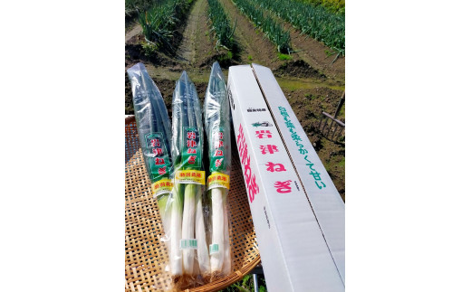 画像は「1kg」の場合の品梱包イメージです。