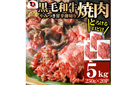 1131-5　とろける黒毛和牛リッチな薄切り焼肉5kg(250g×20P) 秘伝のタレ漬け