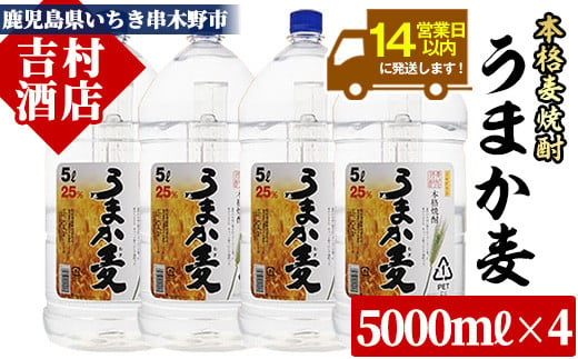 麦焼酎 「うまか麦」 たっぷり 5L×4本 計20L!  25度 鹿児島 本格麦焼酎 白麹 若松酒造 【E-044H】