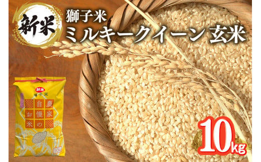 【令和6年産】獅子米 ミルキークイーン 玄米 10kg お米 米 おこめ ブランド米 ミルキー 10キロ 国産 単一原料米 コメ こめ ご飯 銘柄米 茨城県産 茨城 産直 産地直送 農家直送 ごはん 家庭用 贈答用 お取り寄せ ギフト 茨城県 石岡市 (G424) 1379731 - 茨城県石岡市