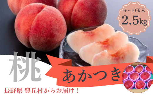 A-114【2025年7月中旬より発送予定】桃　あかつき 約2.5kg【6～10玉】※2025年発送先行予約分※　農家直送　もも