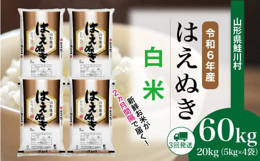 ＜令和6年産米＞ 鮭川村 はえぬき 【白米】 定期便 60kg （20kg×２ヶ月間隔で3回お届け）＜配送時期選べます＞ 1531101 - 山形県鮭川村