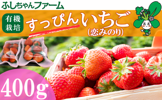 【2025年1月中旬発送開始】すっぴん有機いちご「恋みのり」400g(200g×2 パック)【 茨城県 つくば市 いちご 苺 イチゴ 恋みのり 有機栽培 無農薬 有機農業 オーガニック 自然 果実 フルーツ 果物 希少 】 1539636 - 茨城県つくば市