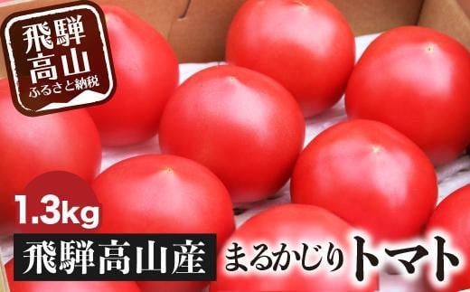 【通常配送】旬の味をお届け！果肉が厚くてみずみずしい 飛騨高山産トマト 『麗月』1.3kg | とまと トマト 産地直送 野菜 飛騨高山 まるかじり農園 FW001VC02