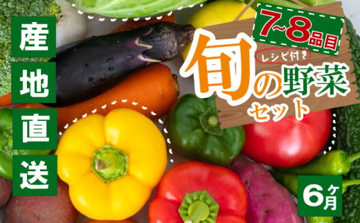 野菜定期便 7品~8品 6ヵ月 産地直送 朝採れ （ 7品 ～ 8品 野菜 セット 詰め合わせ 特産 季節 旬 新鮮 彩 ベジタブル 高知県 須崎市  ）NPO21000 1479928 - 高知県須崎市