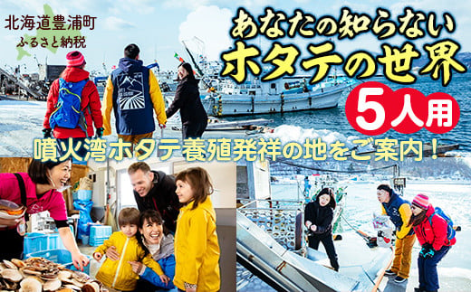 あなたの知らないホタテの世界（5人用）【 ふるさと納税 人気 おすすめ ランキング 体験 イベント ホタテ 見学 養殖 漁師 5人 北海道 豊浦町 送料無料 】 TYUL017