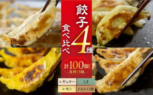 計100個！ 国産餃子 4種食べ比べセット