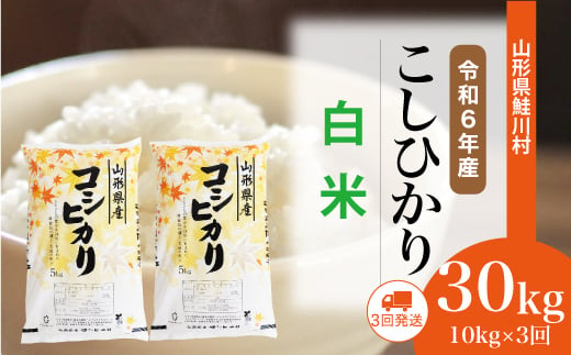 ＜令和6年産米＞ 鮭川村 コシヒカリ 【白米】 30kg 定期便（10kg×3回発送）＜配送時期選べます＞ 1531115 - 山形県鮭川村