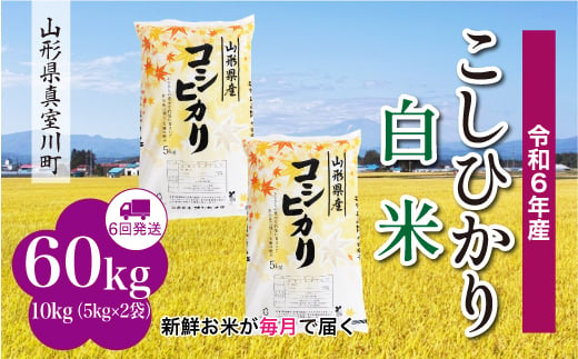 ＜配送時期が選べて便利な定期便＞ 令和6年産 真室川町 コシヒカリ  ［白米］ 60㎏ 定期便（10kg×6回お届け） 1538133 - 山形県真室川町