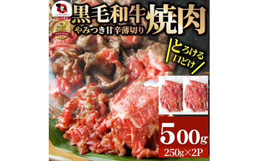 1131-1　とろける黒毛和牛リッチな薄切り焼肉500g(250g×2P) 秘伝のタレ漬け 788021 - 香川県三木町