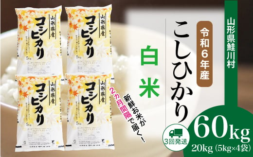 ＜令和6年産米＞ 鮭川村 コシヒカリ 【白米】 60kg 定期便（20kg×3回発送）＜配送時期選べます＞ 1531121 - 山形県鮭川村