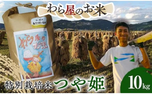 【わら屋のお米】 特別栽培米 つや姫 10kg 『おがわ藁農園』 米 白米 精米 ご飯 農家直送 山形県 南陽市  [2168] 1645543 - 山形県南陽市