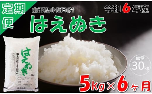 【6回定期便】山形県小国町産 はえぬき5kg 1523251 - 山形県小国町