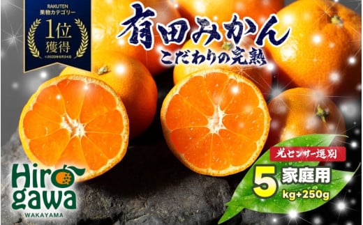 家庭用 こだわりの 有田みかん 5kg+250g（痛み補償分）光センサー 選別 農家 直送＜12月発送予定＞ ※北海道・沖縄・離島への配送不可 / 温州みかん みかん 家庭用 完熟 柑橘 果物 和歌山 有田【nuk004-c-5-decA】 1531482 - 和歌山県広川町