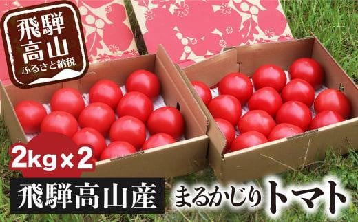 【2025年予約受付】 飛騨高山産 トマト 『麗月』4kg（2kg×2箱） | とまと 産地直送 野菜 飛騨高山 まるかじり農園 FW003 588635 - 岐阜県高山市