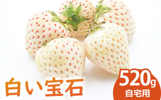 白い宝石 白いちご 約130g×4P(合計約520g) ご自宅用