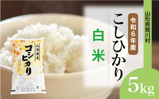 ＜令和6年産米＞ 鮭川村 コシヒカリ 【白米】 5kg （5kg×1袋）＜配送時期選べます＞ 1531103 - 山形県鮭川村