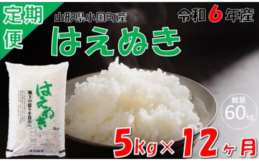 【12回定期便】山形県小国町産 はえぬき5kg 1523250 - 山形県小国町