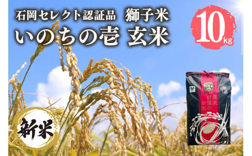 【令和6年産】【石岡セレクト認証品】獅子米 いのちの壱 玄米 10kg コンテスト受賞米 お米 米 おこめ ブランド米 10キロ 国産 単一原料米 コメ こめ ご飯 銘柄米 茨城県産 茨城 産直 産地直送 農家直送 ごはん 家庭用 贈答用 お取り寄せ 茨城県 石岡市 (G436) 1079443 - 茨城県石岡市