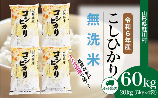 ＜令和6年産米＞ 鮭川村 コシヒカリ 【無洗米】 60kg 定期便（20kg×3回発送）＜配送時期選べます＞ 1531122 - 山形県鮭川村