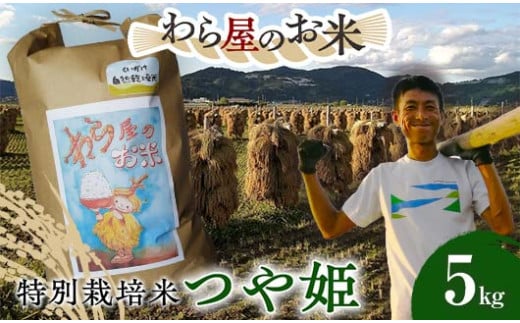 【わら屋のお米】 特別栽培米 つや姫 5kg 『おがわ藁農園』 米 白米 精米 ご飯 農家直送 山形県 南陽市  [2167] 1645542 - 山形県南陽市