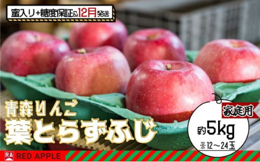 りんご 【 12月発送 】 蜜入り ＆ 13度糖度保証 家庭用 葉とらず ふじ 約 5kg 【 弘前市産 青森りんご 】 1106846 - 青森県弘前市