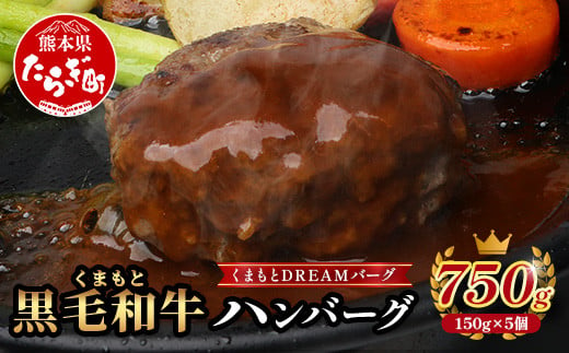 【 年内お届け 】くまもと黒毛和牛  DREAMバーグ 150g×5パック 計750g 牛肉 100％ 国産 ハンバーグ 熊本 ブランド牛 黒毛 和牛 上質 はんばーぐ 惣菜 熊本県 113-0508-R612