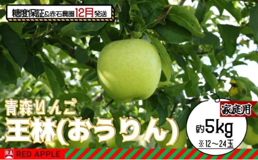 りんご 【 12月発送 】 13度糖度保証 家庭用 王林 約 5kg 【 弘前市産 青森りんご 】 1106849 - 青森県弘前市