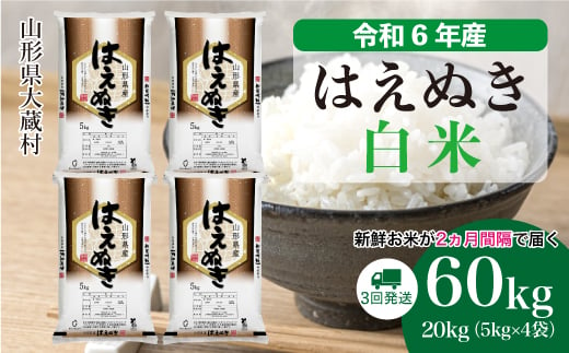 令和6年産 大蔵村 はえぬき ＜白米＞60kg 定期便（20kg×3回お届け）＜配送時期が選べて便利＞ 1524145 - 山形県大蔵村