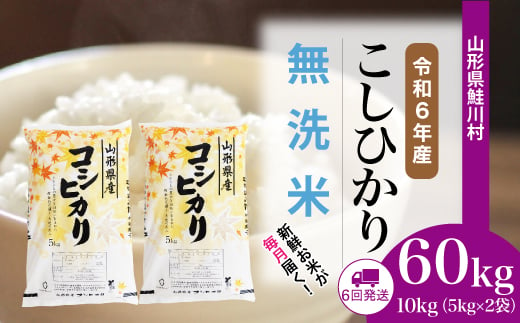 ＜令和6年産米＞ 鮭川村 コシヒカリ 【無洗米】 60kg 定期便（10kg×6回発送）＜配送時期選べます＞ 1531120 - 山形県鮭川村